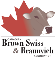 Logo Brown Swiss